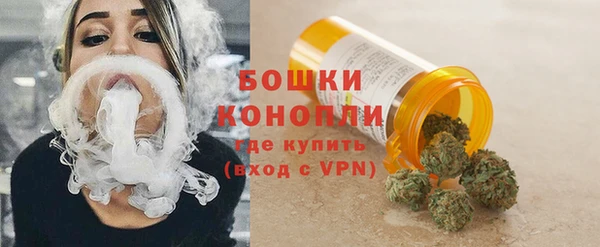 шишки Вяземский