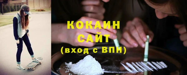 шишки Вяземский