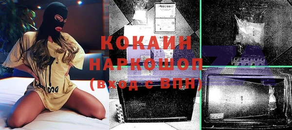 шишки Вяземский
