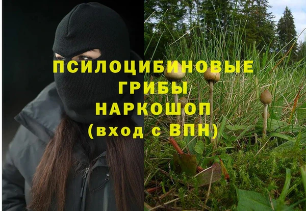 ешки Вязьма