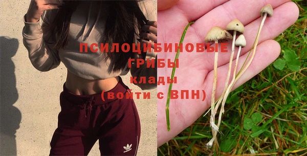 ешки Вязьма