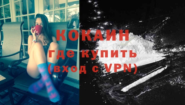 шишки Вяземский