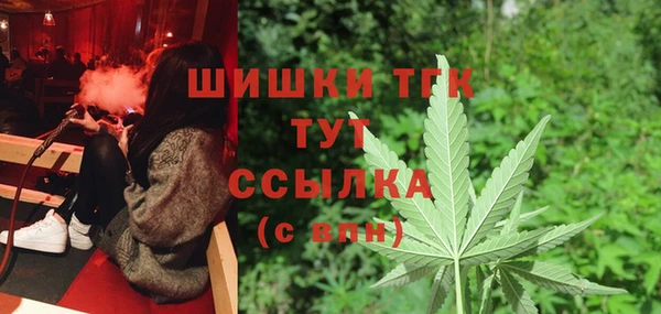 шишки Вяземский