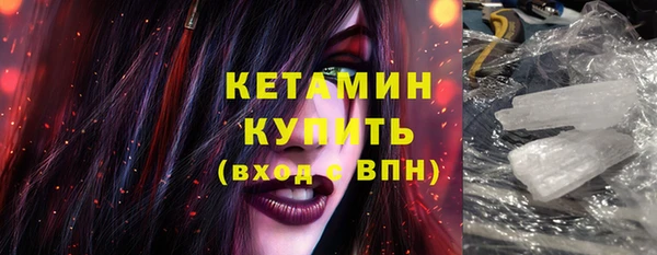 шишки Вяземский
