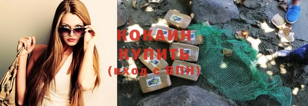 шишки Вяземский