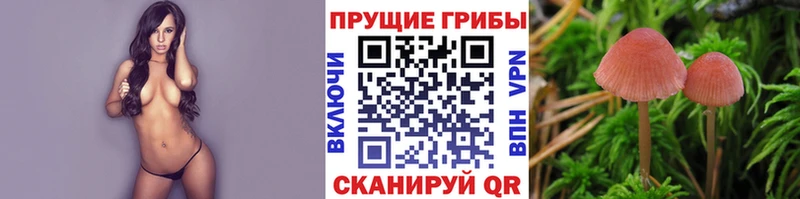 Галлюциногенные грибы MAGIC MUSHROOMS  продажа наркотиков  Лобня 